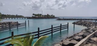 IMG 20191014 132924 800x378