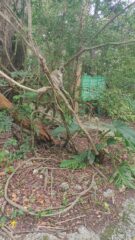 IMG 20191014 153211 800x1422