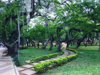 IMG 8500 1 800x600