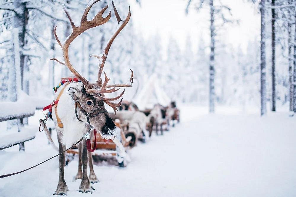Guide to the Nordic Region 4 caption 8