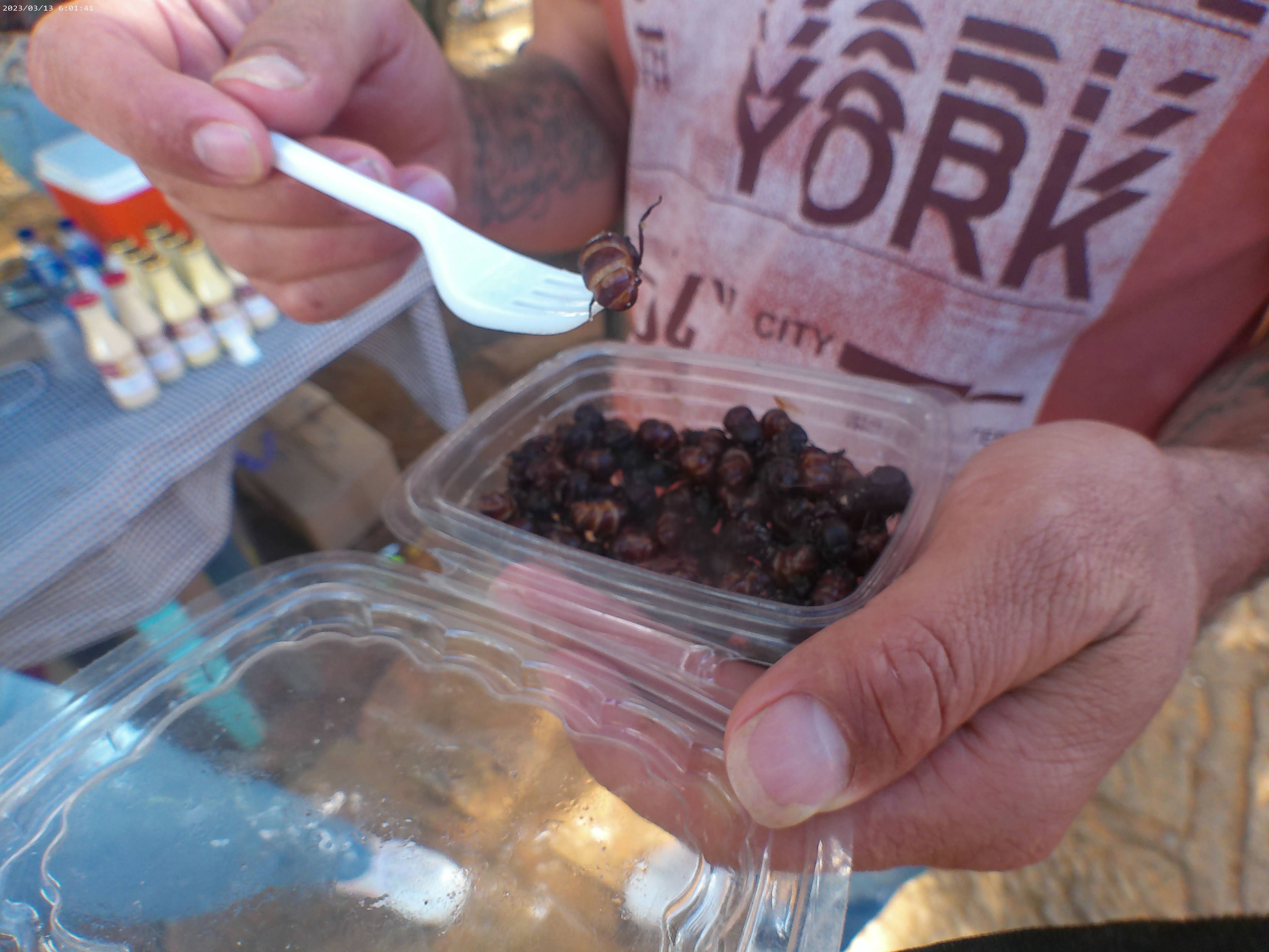 Bucaramanga Travel Guide: My Favourite City In Colombia 2 ANMP0454