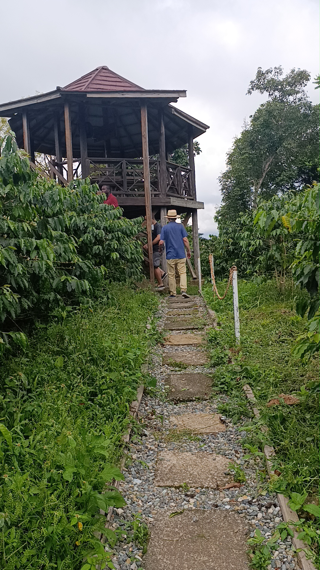 What to See in Kingston & St Andrew, Jamaica: A Local’s Guide 1 What to See in Kingston & St Andrew, Jamaica: A Local’s Guide