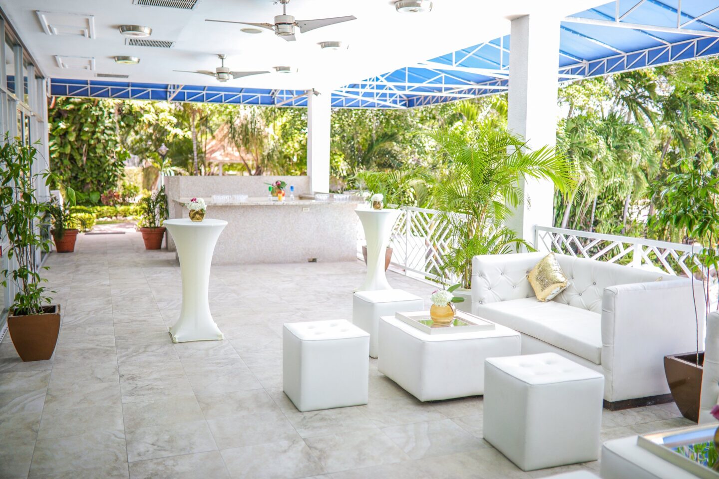 Where to Stay in Kingston, Jamaica: A Local’s Guide 3 Jamaica Pegasus Kingston Jamaica