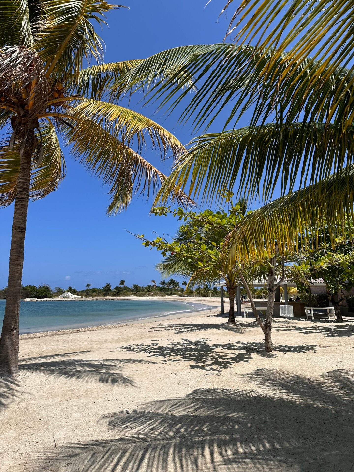 Guide to Solo Travel in Jamaica: My Tips & Tricks (2026) 3 solo travel jamaica