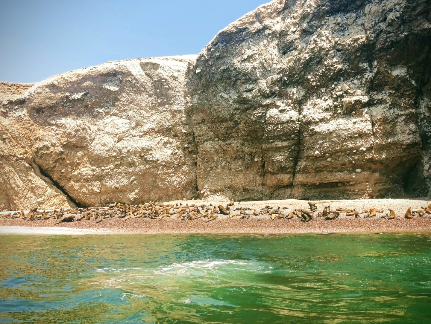 IMG 20260308 120731 EFFECTS