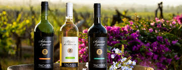 Things to Do in Lima That Aren't Just Touristy 9 pisco